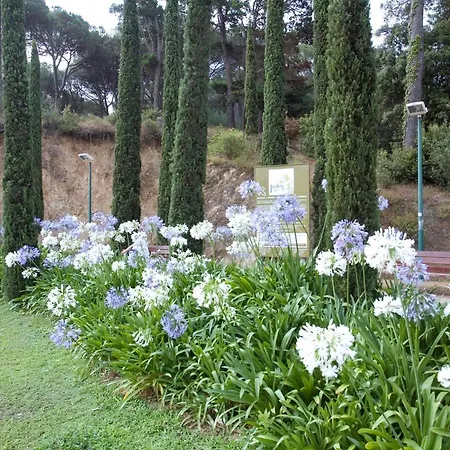 Atico Duplex Con Terraza Y